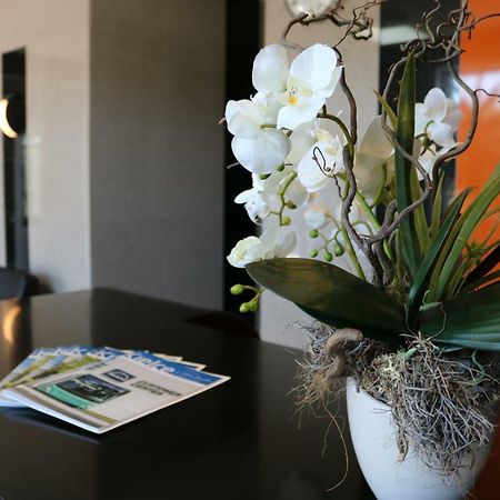 Hotel Dyminy Kielce Eksteriør bilde
